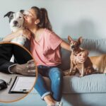Guía para comprar cachorros sanos y bien cuidados parra llevarlos a casa
