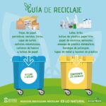 Reciclaje de Papel y Cartones: Cómo Cuidar el Planeta de Forma Sostenible