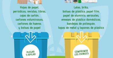 Reciclaje de Papel y Cartones: Cómo Cuidar el Planeta de Forma Sostenible 7 Reciclaje de Papel y Cartones: Cómo Cuidar el Planeta de Forma Sostenible