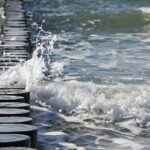 Oceanside: Un Refugio Gastronómico Frente al Mar