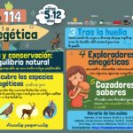 Experiencias cinegéticas responsables en entornos naturales de España