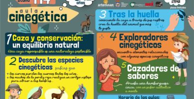 Experiencias cinegéticas responsables en entornos naturales de España 7 Experiencias cinegéticas responsables en entornos naturales de España