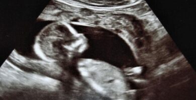 Salud, embarazo y curiosidad por el sexo del bebé